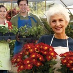 new york family limited partnerships