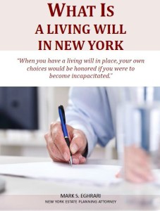 What Is A Living Will In New York