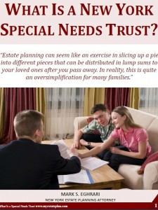 What Is A New York Special Needs Trust