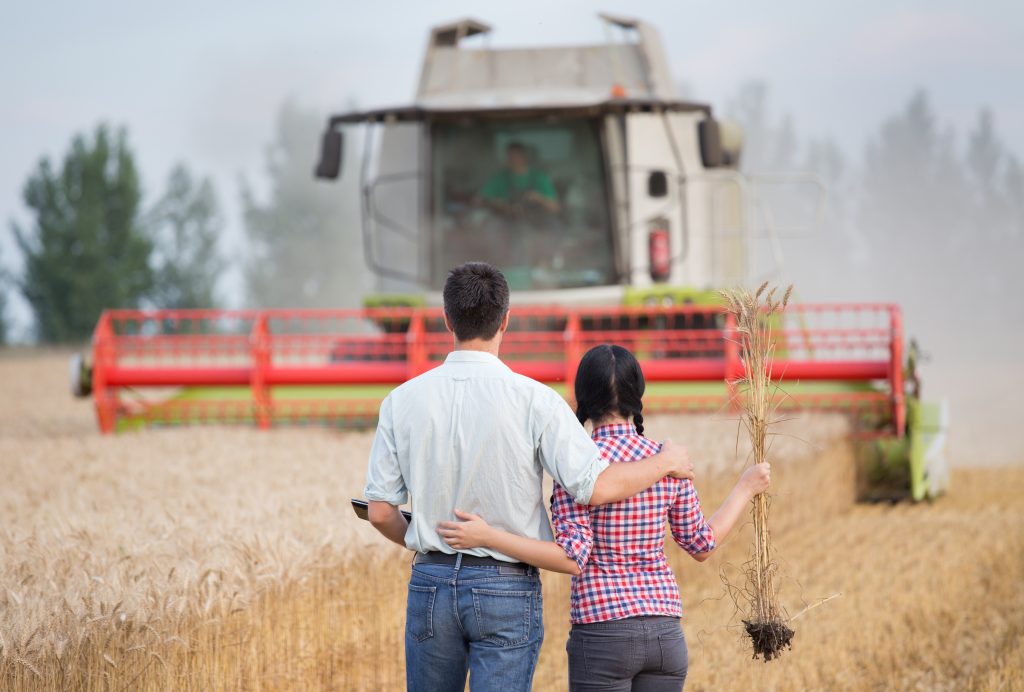 How to Protect Your Family Business in Your New York Estate Plan